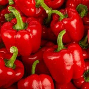 poivron-rouge