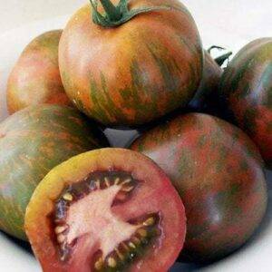 tomates-zébrées